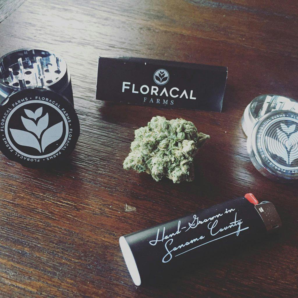 4/20 Weed Deals in Northern California: Sonoma Patient Group - Santa Rosa